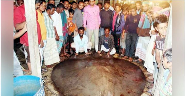 Bangladesh fishermen recovers 6 tonne fish 